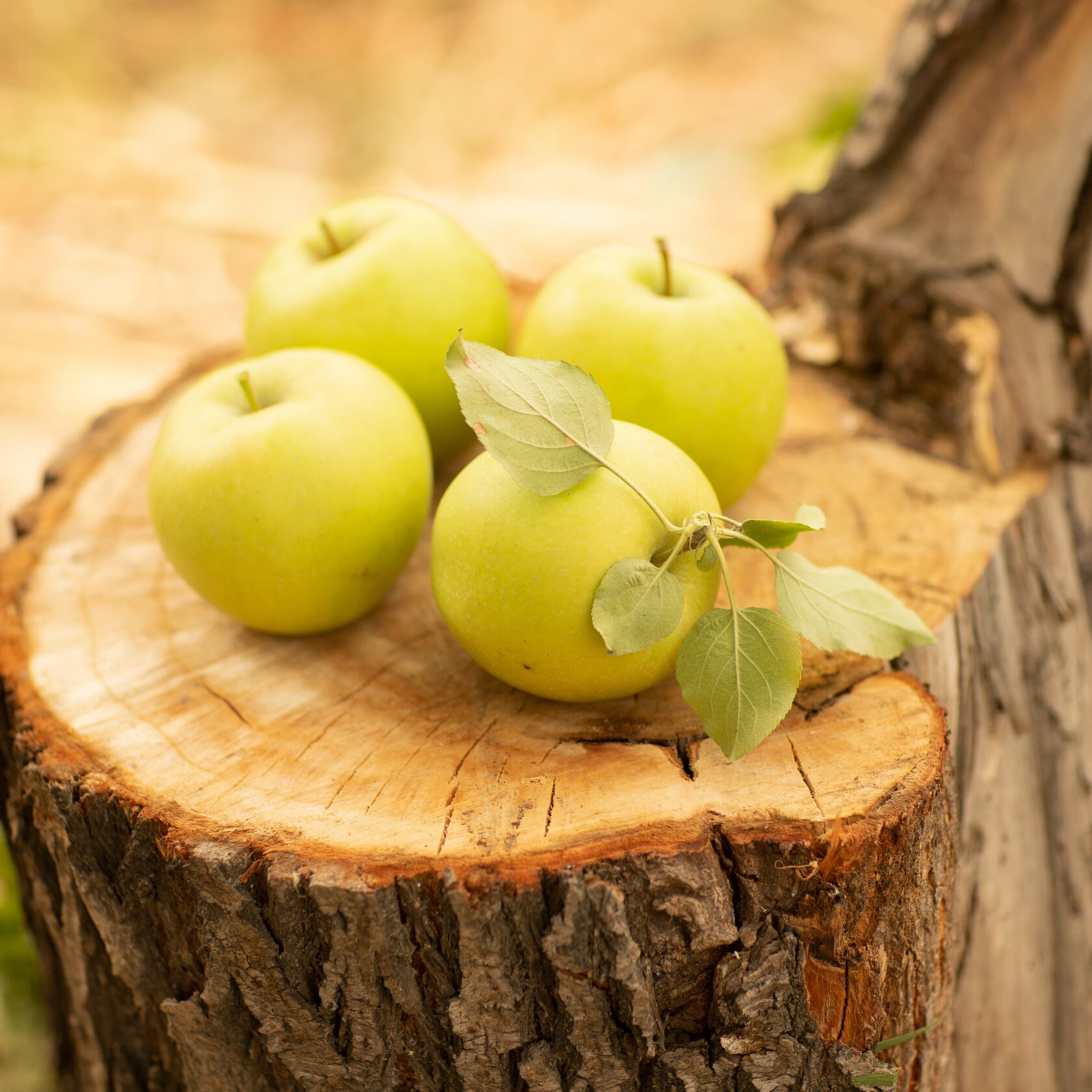 Яблоко Голден Делишес Золотое Превосходное Алматы