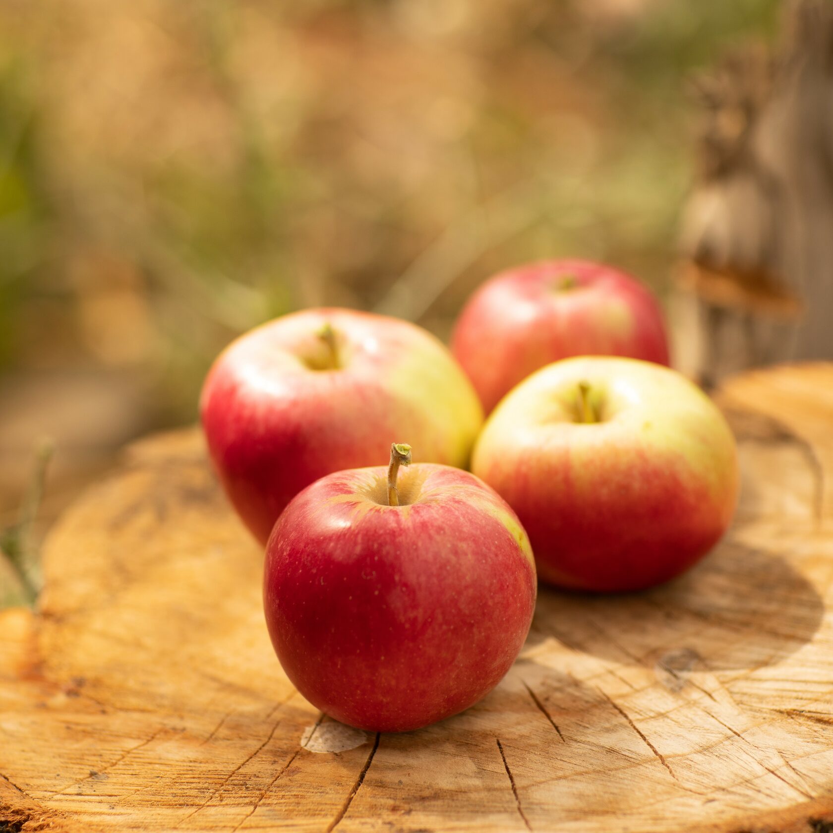 Яблоко Айдарет Алматы